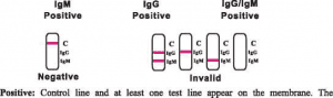 ตลับทดสอบแบบรวดเร็ว IgG/IgM ของโควิด-19