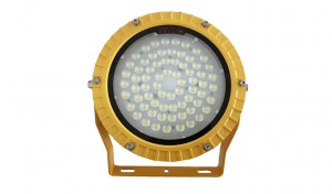 Hot New Products China LED Lighting 50W LED Flood Light Linear with Explosion Proof Outdoor Lighting for Process LED Lamps with UL IP66/IP 67 IP 68 UL TUV Certificates Factory Direct