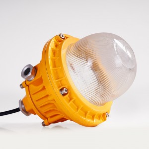 ATEX LED Explosion-proof Grade Exd IIB T4 IP66 LED Street Lamp
