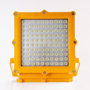 2019 Chinese Factory Surface Mount Ex-proof Lamp for Hazardous Location