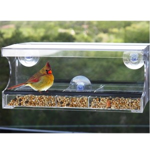 perspex plastic feeder bird with removable sliding tray drain holes
