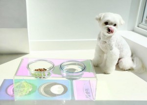 Custom Logo Bejgħ bl-ingrossa Lussu Colorful Cat Dog Pet Water Food Feeder Bowl