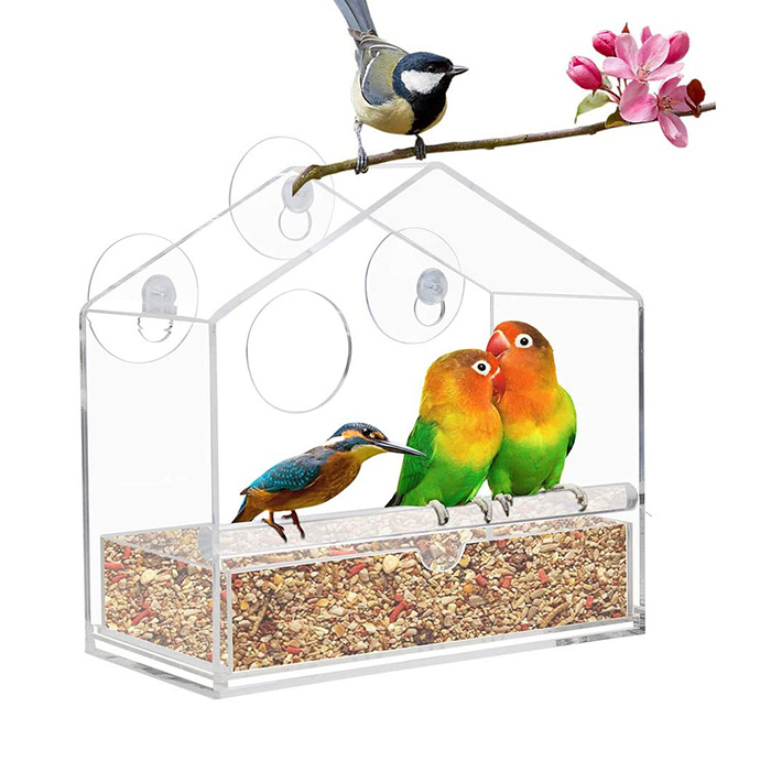 Piala nyeuseup Feeder Manuk Liar pikeun Luar Jandela Bajing Buktina Acrylic Bird Food Dulang House