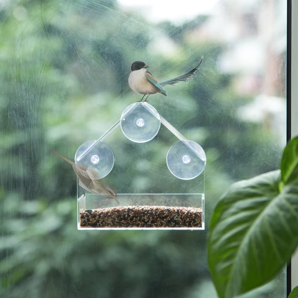 מזין ציפורים לחלון לקשט בית עם ציפורים פלסטיק אקרילי שקוף עם 3 כוסות יניקה חזקות במיוחד כולל רעיון לאוהבי הטבע