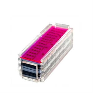 Varie vetrine a colori Set di domino in plexiglass Custodia in acrilico al neon