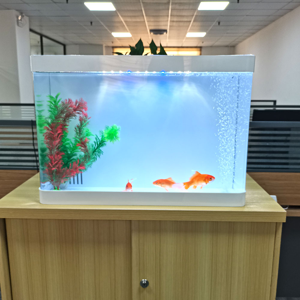 специјален дизајн акрилен аквариум за риби, нов дизајн аквариум со аквариум