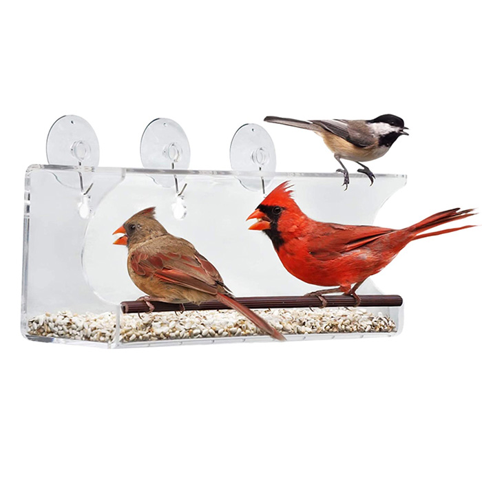 На отворено Голем акрилен прозор за снабдување за птици Perspex отстранлив вшмукување чашка поставена на отворено Куќа за птици