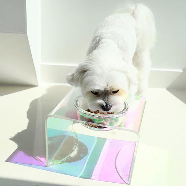 โลโก้ที่กำหนดเองขายส่งหรูหรามีสีสัน Cat Dog Pet Water Food Feeder Bowl ภาพเด่น