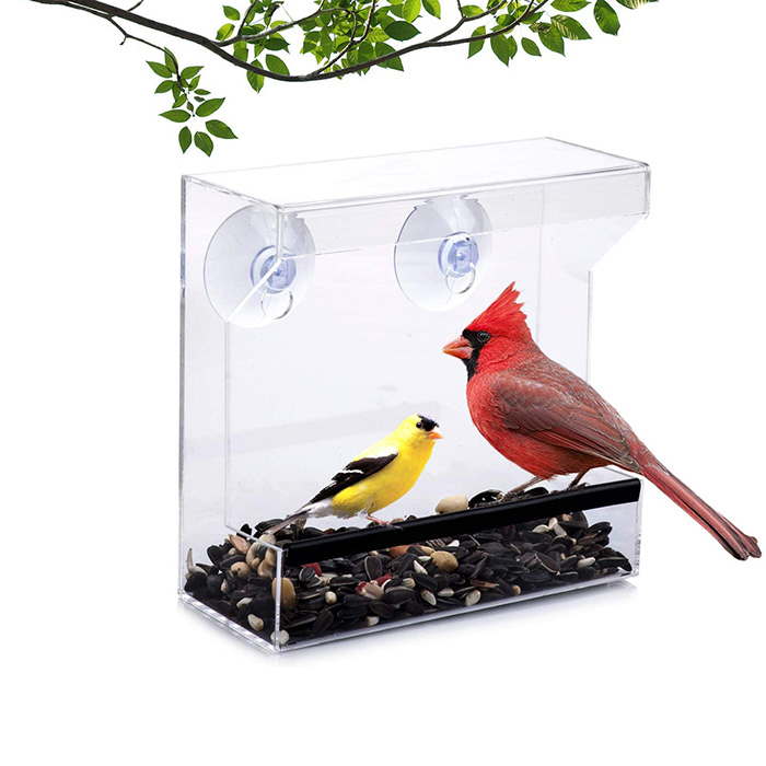 Nature_Decor מזין ציפורים לחלון שקוף מזין ציפורים תלוי חלון עם כוס יניקה כולל 21 חורי ניקוז