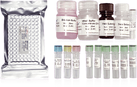 SARS-CoV-2 Neutralizing antibody Detection Kit (ELISA)