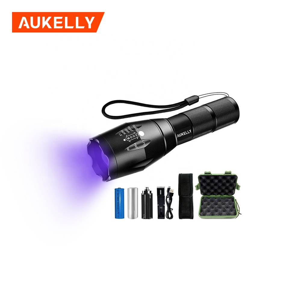 395nm Ультрафиолет лампасынын маркери Үй жаныбарларынын заарасынын тактары Аңчылык Скорпион керебет детектору Blacklight Факел комплекти масштабдуу LED UV фонарик топтому H8-UV
