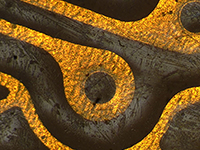 Microscopaidh metallographic - sgrìoban meatailt