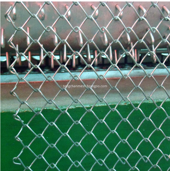 Massive Selection for Wire Screen - Stainless Steel Chain Link Fencing – TongChan