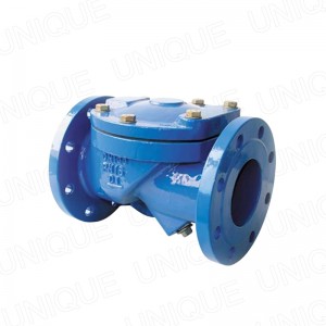 PN16 DN50 Rubber Disc Swing Check Valve (Rubber Lined)