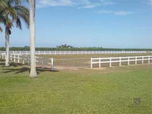 Poste de vinilo de PVC de 2 rieles y cerca de riel FM-301 para caballos, granjas y ranchos