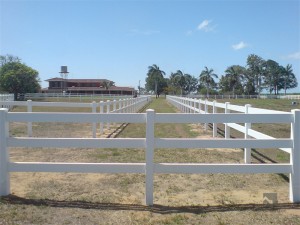 3 Đường ray PVC Vinyl và hàng rào đường sắt FM-303 cho trang trại, bãi tập kết, trang trại và ngựa