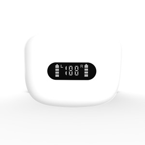 Auricolari TWS Bluetooth 5.0 Produttore di auricolari personalizzati |Wellyp