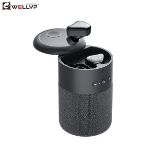 Speaker Wireless Cù Funzione TWS Auricolari Ingrossu |Wellyp
