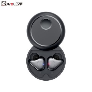 Wireless Speaker miaraka amin'ny TWS Function Wholesale Earbuds |Wellyp