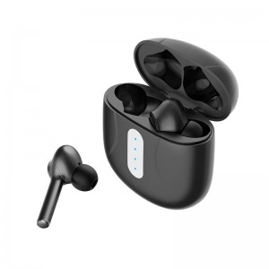 ANC TWS Earbuds Custom – Κίνα Κατασκευαστής |Wellyp
