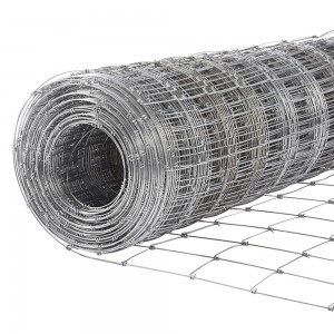 OEM/ODM Manufacturer Steel Wire Cloth -
 High Quality Soccer Field Metal Safety Fence – DXR