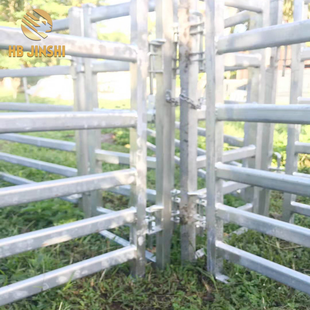 7 common cattle fencing mistakes (and how to avoid them)