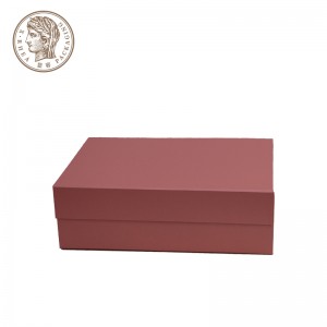 Custom Logo Pink Luxury Paperboard Shipping Mailer Clothes Underwear Rigid Gift Packaging Box