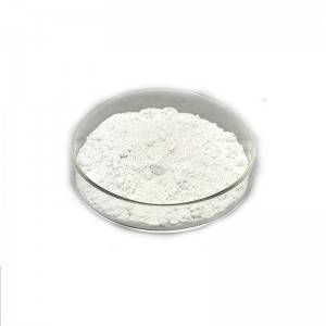 Antibakterielt pulver Nano Grade Sølvion Antimikrobiell Additiv Sølv nanopartikler