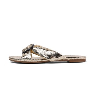 Factory directly Noracora Sandals -
 Summer Normcore Style Fashion Designers Metallic Ladies Slippers And Sandals – Xinzi Rain