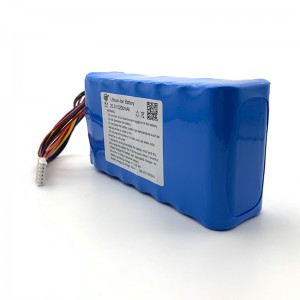 High reputation Icr 18650 Battery 3.7 V - 18650 7S2P Lithium ion cells battery pack 5200mAh high capacity – Xuanli