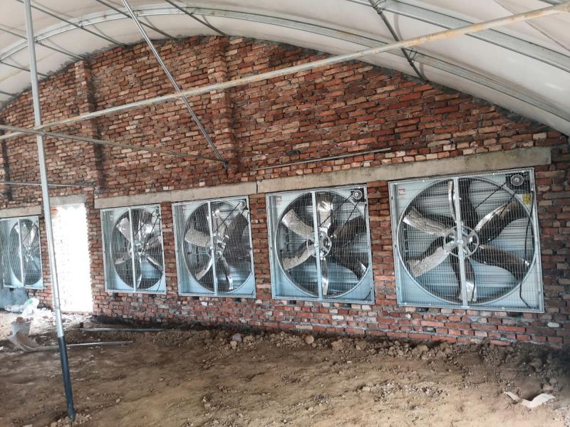 How to choose a suitable exhaust fan for a farm?