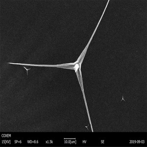 Tetra-Needle Like Zinc Oxide Whisker