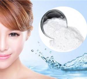 Populér kulit moisturizing bahan baku Sodium Hyaluronate Cina borongan