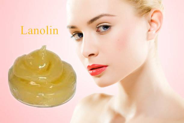 New Product Expansion-Anhydrous Lanolin