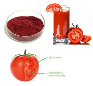 Extract natural din plante Cosmetice Antioxidant Licopen Pudră