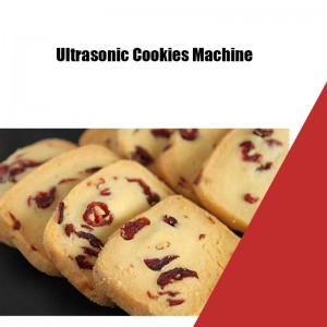 Máquina automática de fazer biscoitos de cranberry Yucheng