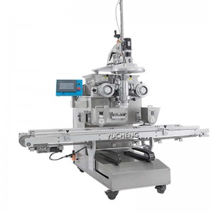 YC-166-D Automatic Encrusting &Solid Feeder &Desting &Eighting All in One Machine