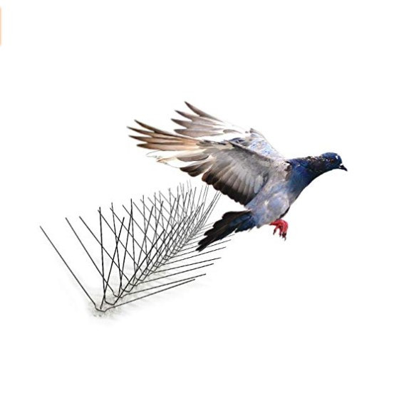 much popular Bird Control Product Plastic Anti Pigeon Spike product