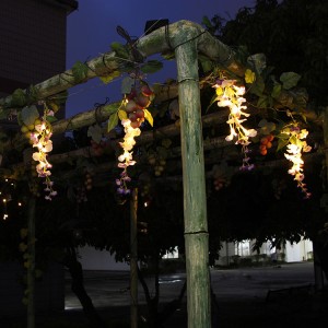 Solar Wisteria Flower 60 LED String Lights Outdoor | ZHONGXIN