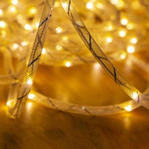 Wholesale Price Decorative Rope Lights for Indoor Outdoor Decoration Waterproof Function | ZHONGXIN