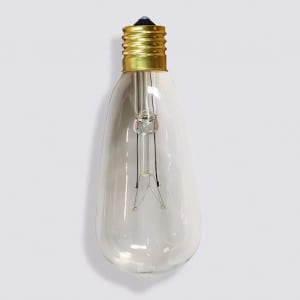 10 Count ST40 Clear Bulb Electric LED String Light