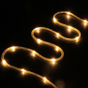Wholesale Price Decorative Rope Lights for Indo...