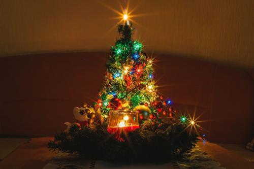 Christmas tree – the history and interesting story of a Christmas tree that is not what you think it is