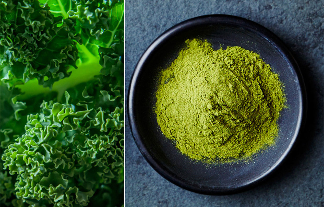 4 tips for evaluating the quality of kale powder