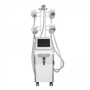 BD800  Cool Body Sculpting Cryolipolysis Beauty Machine Cool Slimming Fat Freezing with 5Cryo Handles