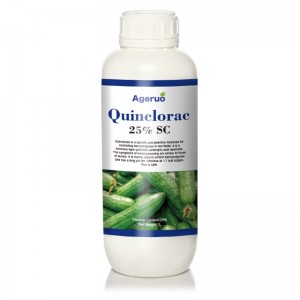 Quinclorac 25% SC selektyvus herbicidas, skirtas užkirsti kelią skėčioms