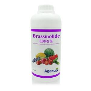 Ageruo தொழில்முறை சப்ளையர் Brassinolide 0.004% SP உரத்தை ஊக்குவிப்பதற்காக