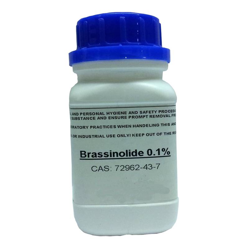 Manufacturer for Difenoconazole - Agrochemical plant growth regulator Brassinolide 0.01% SP with best price – AgeruoBiotech