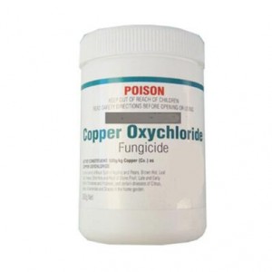 OEM Griene Poeder Fungicide Koper Oxychloride 50 Wp Priis