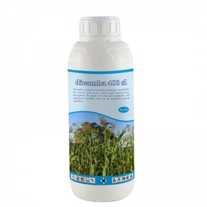 Nemokamas pavyzdys piktžoles naikinančio herbicido Dicamba 48% SL kaip tiekėjo techninės kainos pritaikyta etiketė
